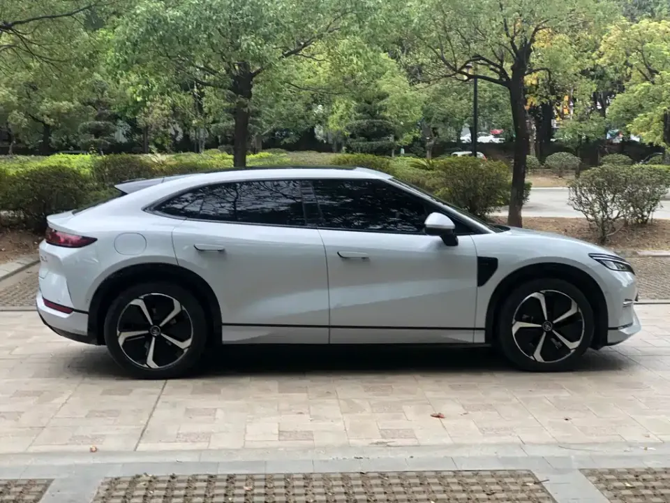 BYD L EV