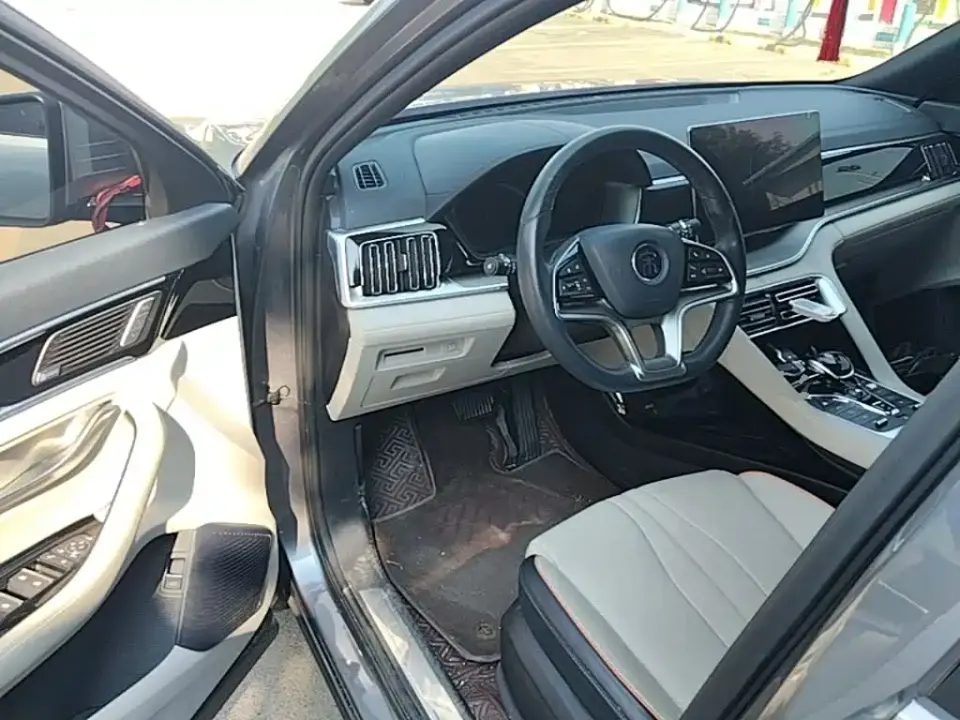 BYD PLUS New Energy