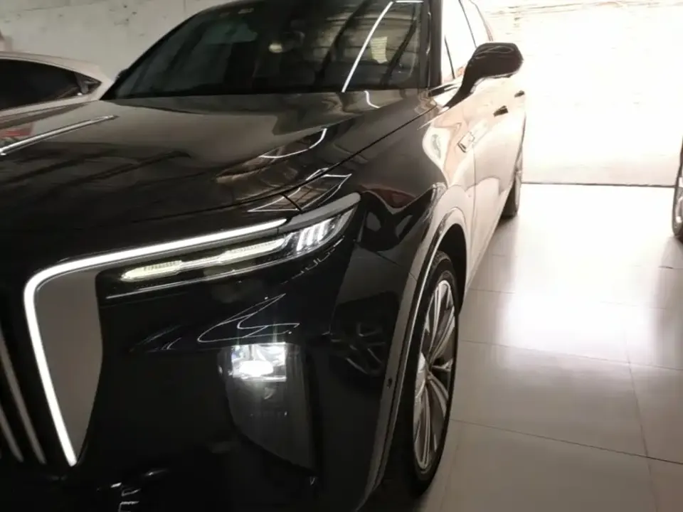 Hongqi Hongqi E-HS9