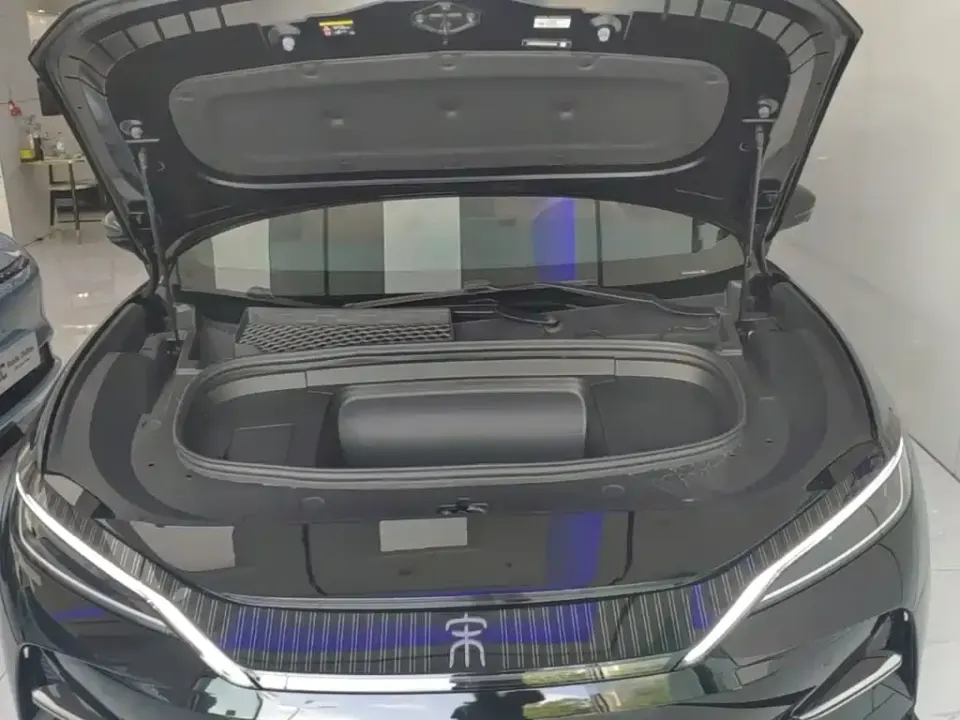 BYD L EV