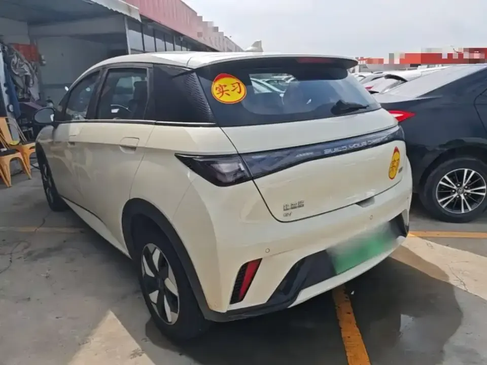 BYD Dolphin