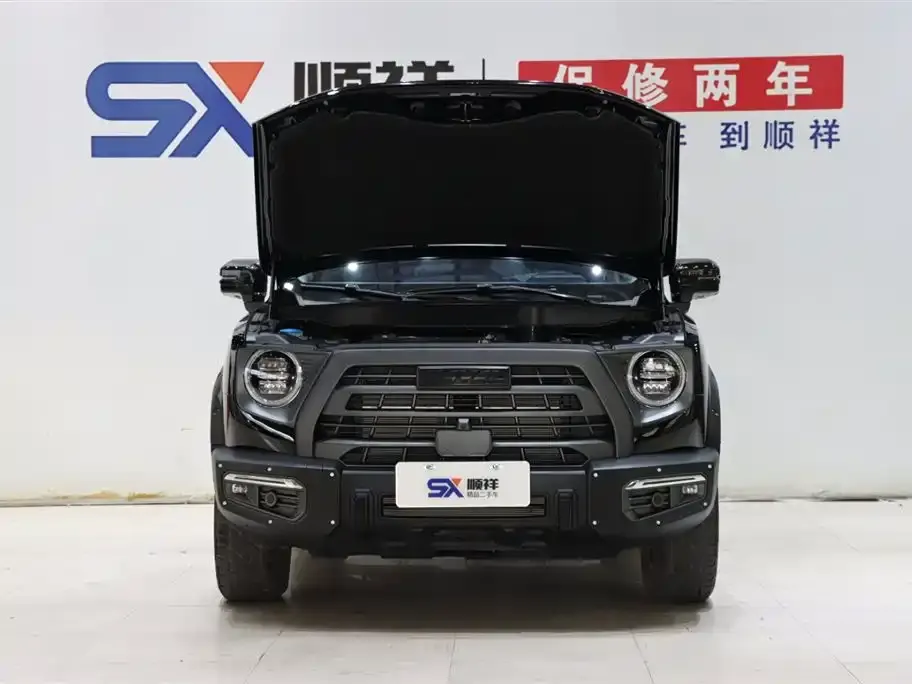 Haval Big Dog