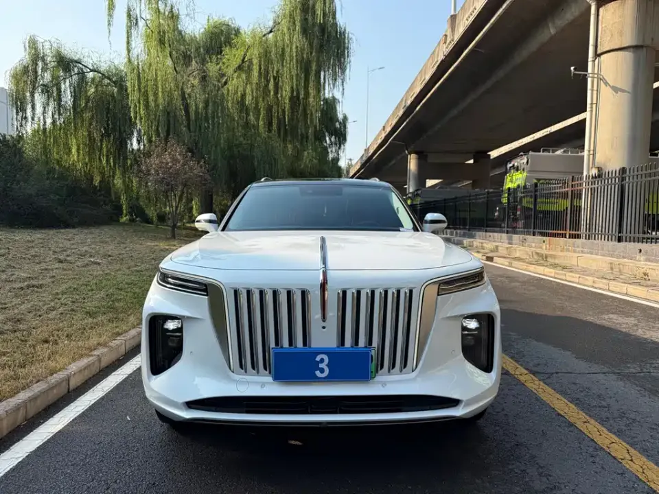Hongqi Hongqi E-HS9