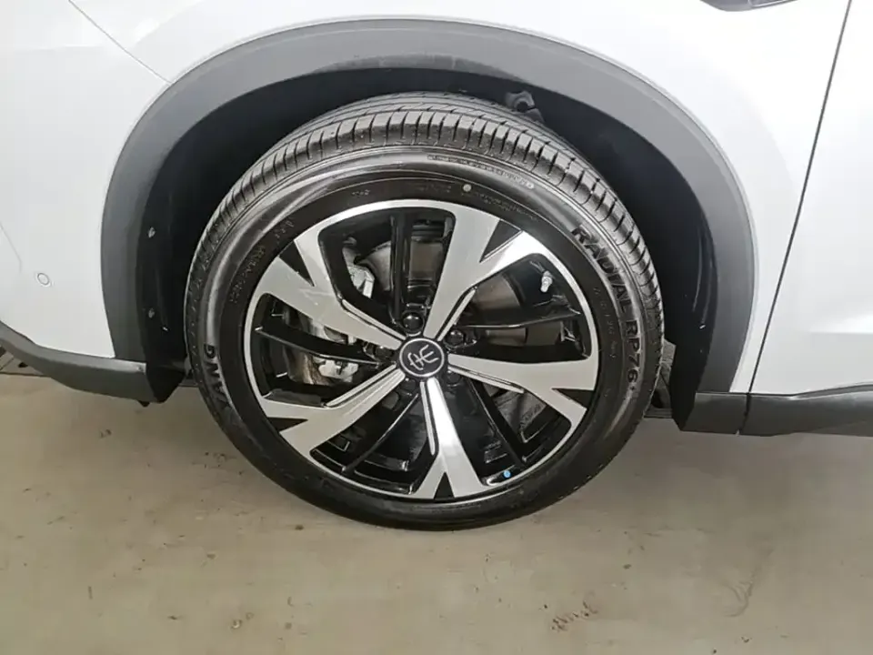 BYD Pro New Energy