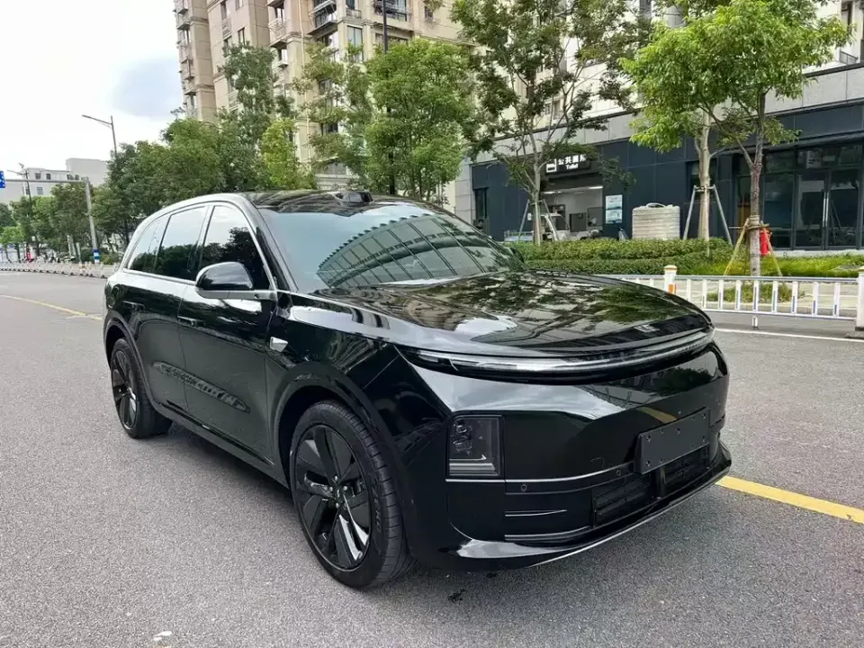 Li Li L6
