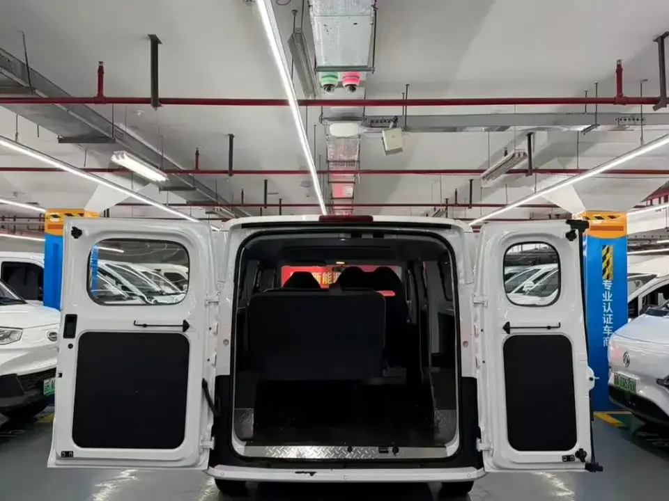 Maxus V1L