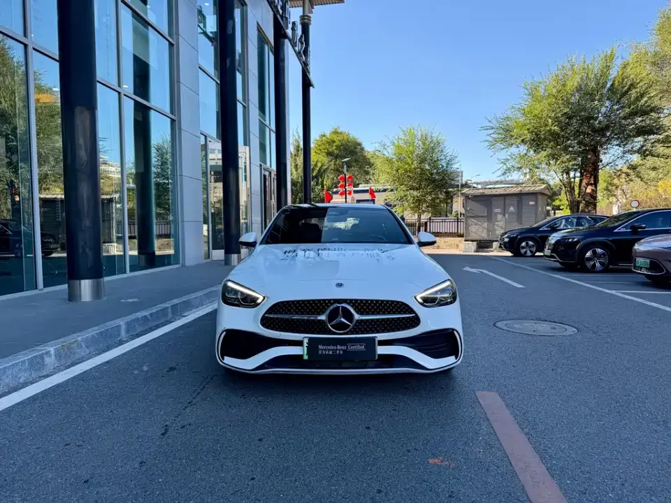 Mercedes-Benz C-Class New Energy