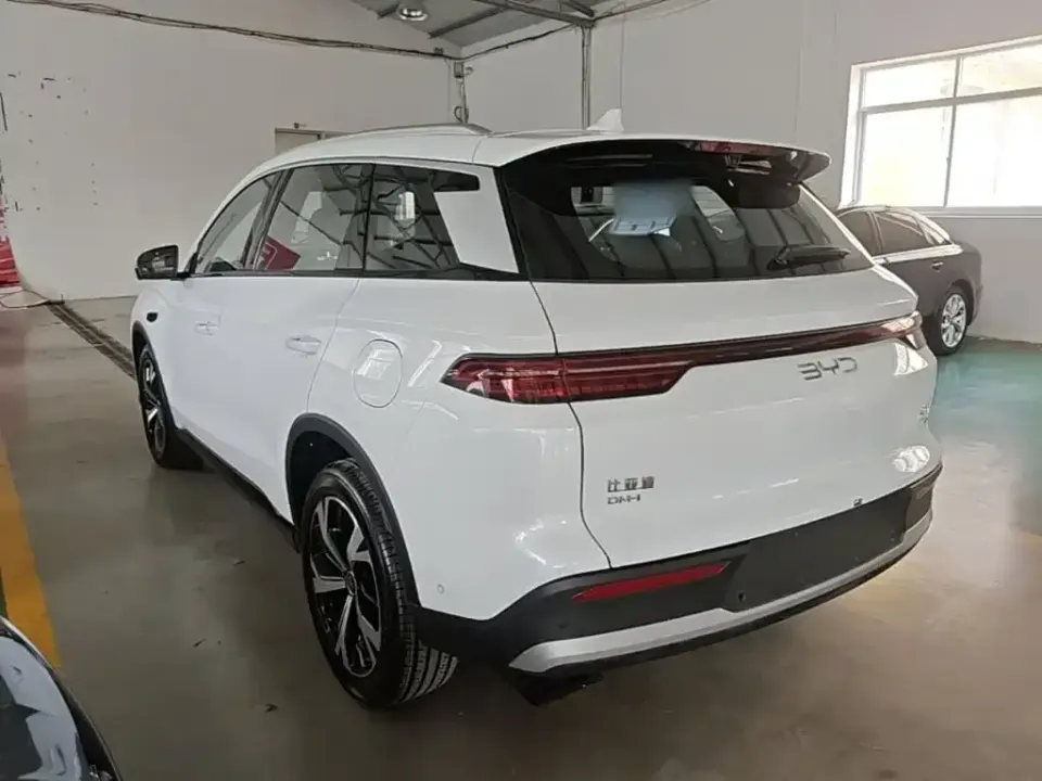 BYD Pro New Energy