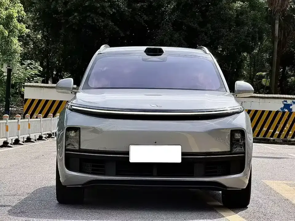 Li Li L8