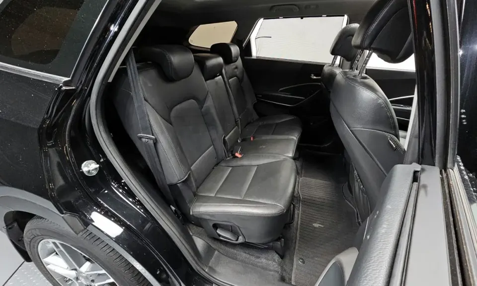 Hyundai Maxcruz