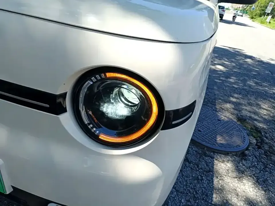 Galaxy Panda
