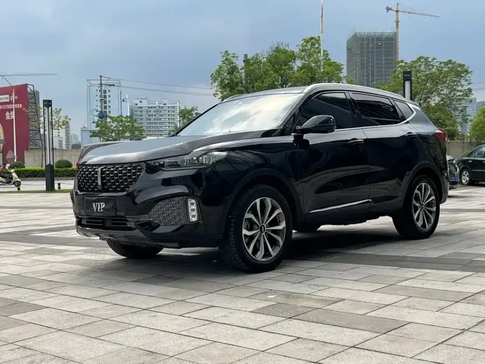 WEY Wey VV6