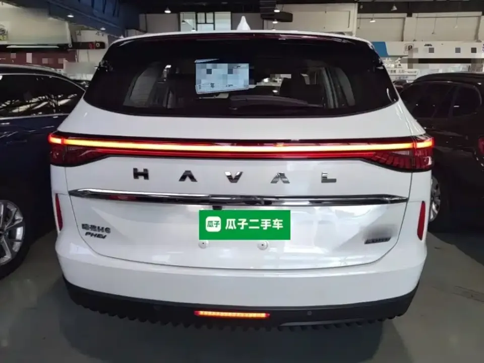 Haval H6 New Energy