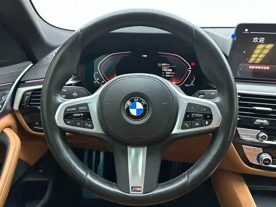 BMW 5 Series (Import)