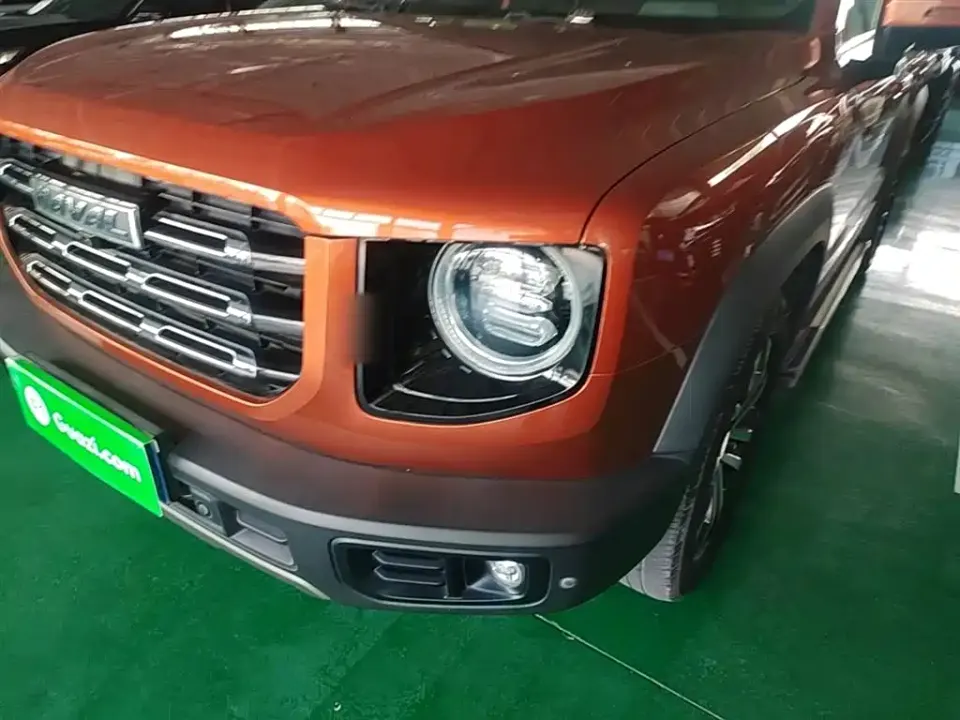 Haval Big Dog