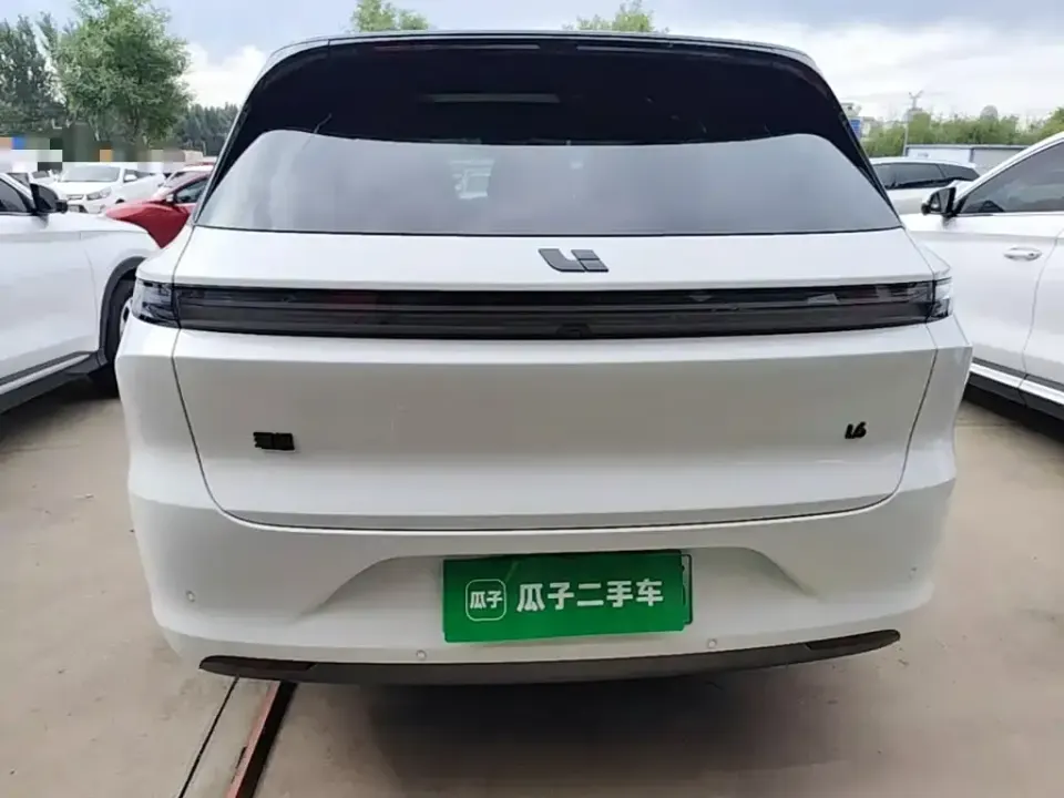 Li Li L6