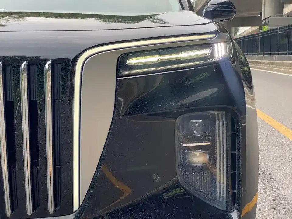 Hongqi Hongqi E-HS9
