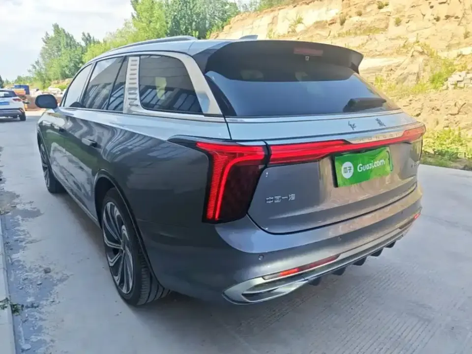 Hongqi Hongqi E-HS9