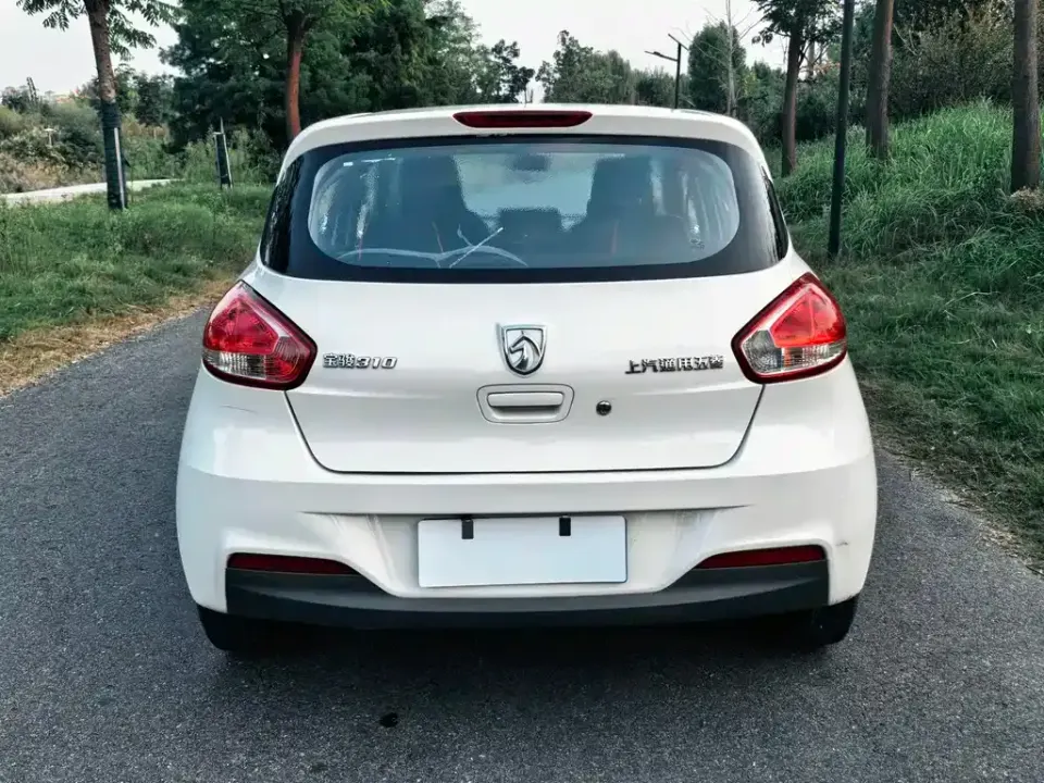 Baojun 310