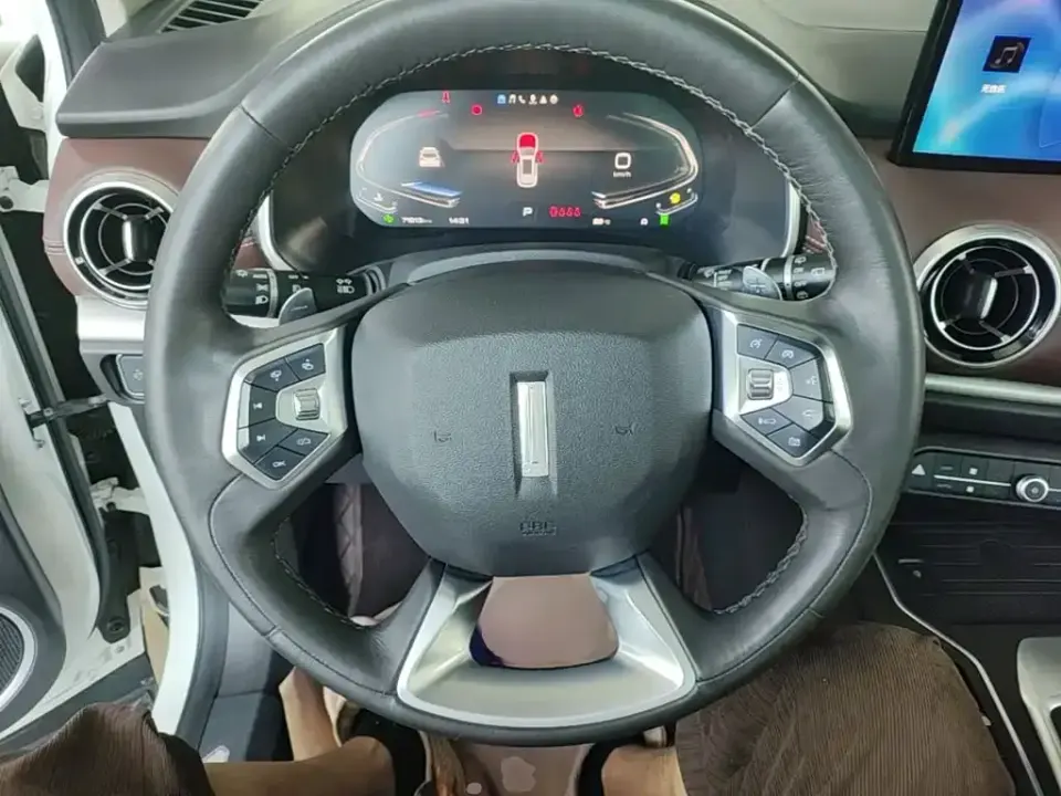 WEY Wey VV6