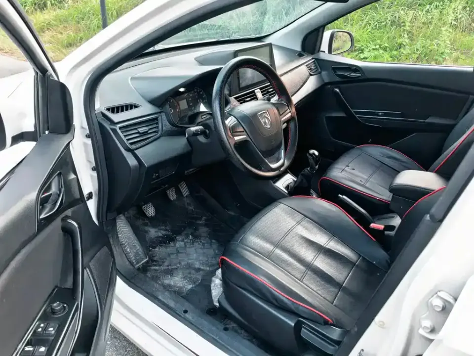 Baojun 310
