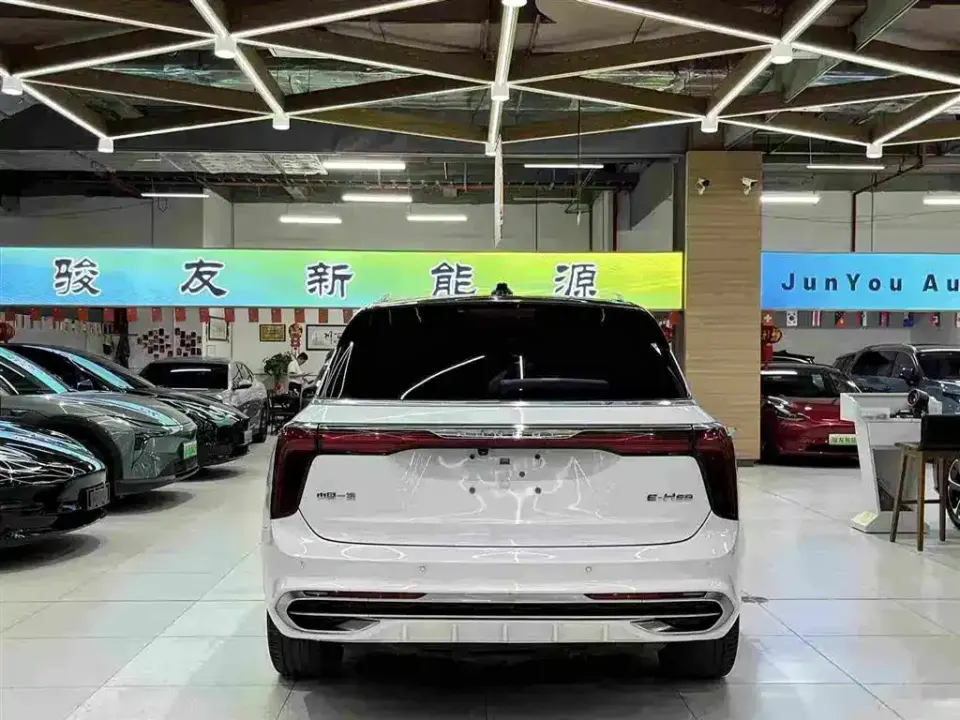 Hongqi Hongqi E-HS9