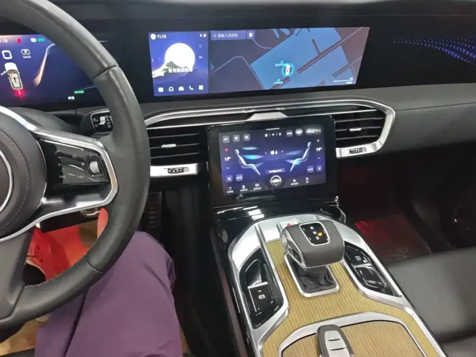 Hongqi Hongqi E-HS9