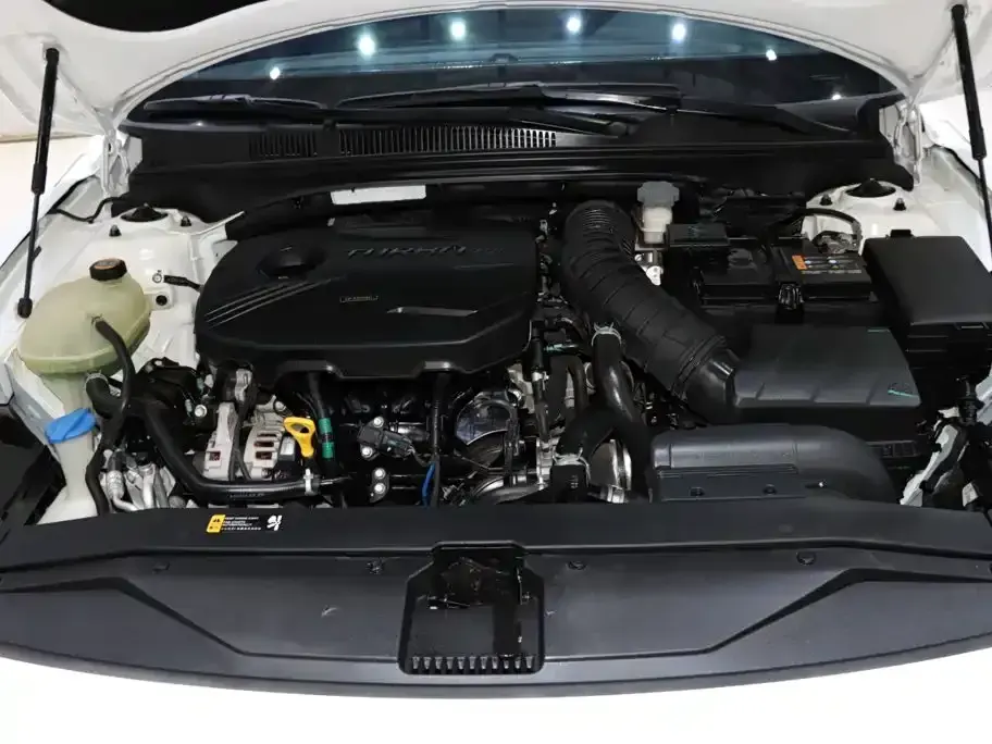 Hyundai Fista