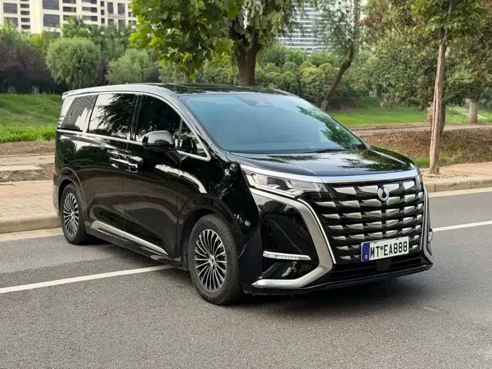 Denza Denza D9