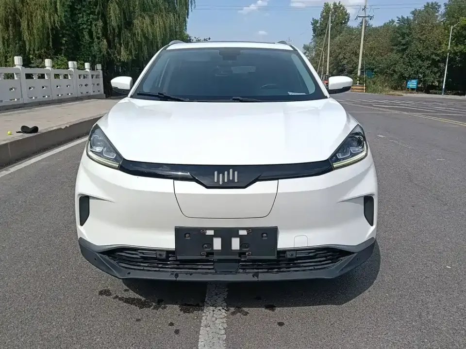 WM Motor EX5