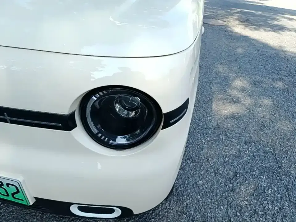 Galaxy Panda