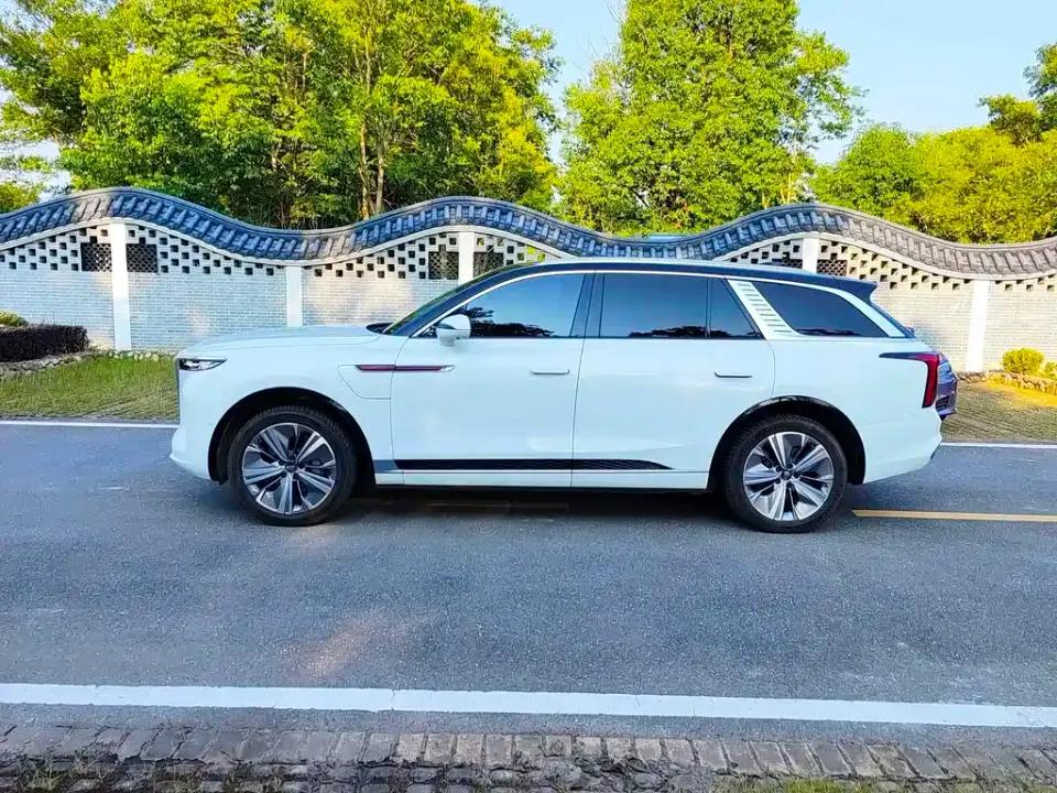 Hongqi Hongqi E-HS9