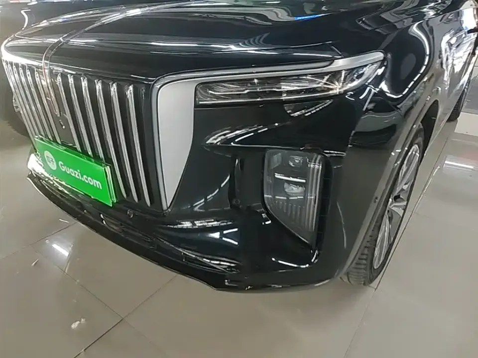 Hongqi Hongqi E-HS9