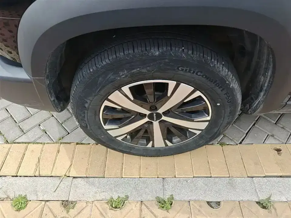 Haval Big Dog