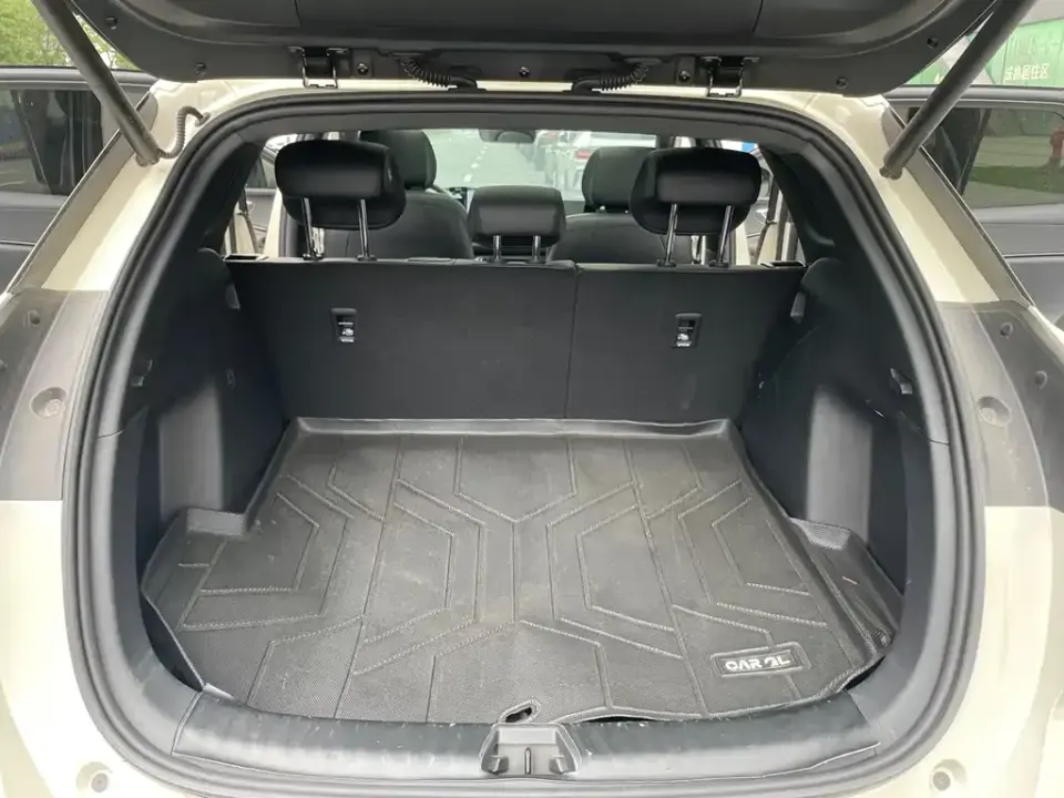 BYD Sealion 06