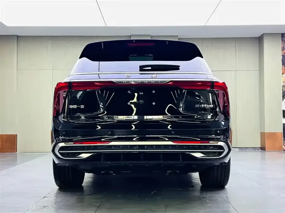 Hongqi Hongqi E-HS9