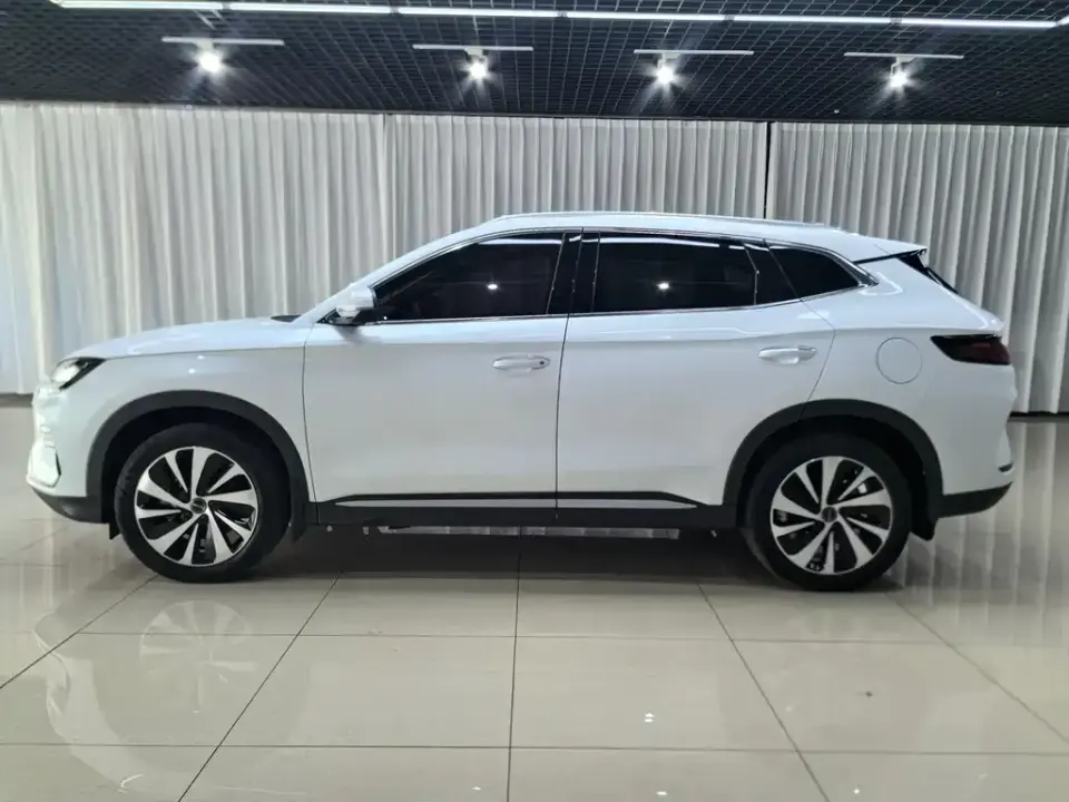 BYD PLUS New Energy