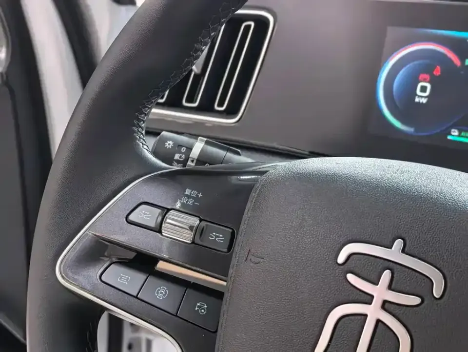 BYD Pro New Energy