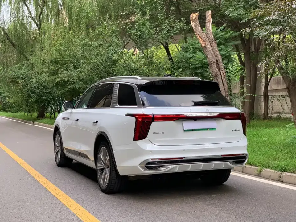Hongqi Hongqi E-HS9