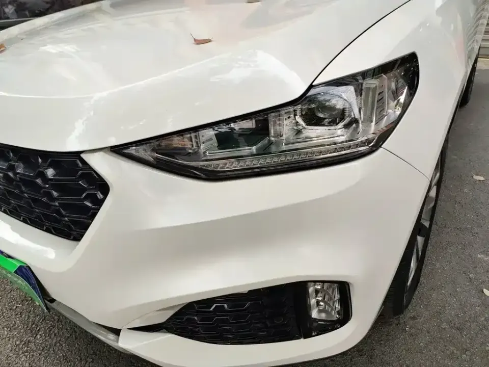 WEY Wey VV6