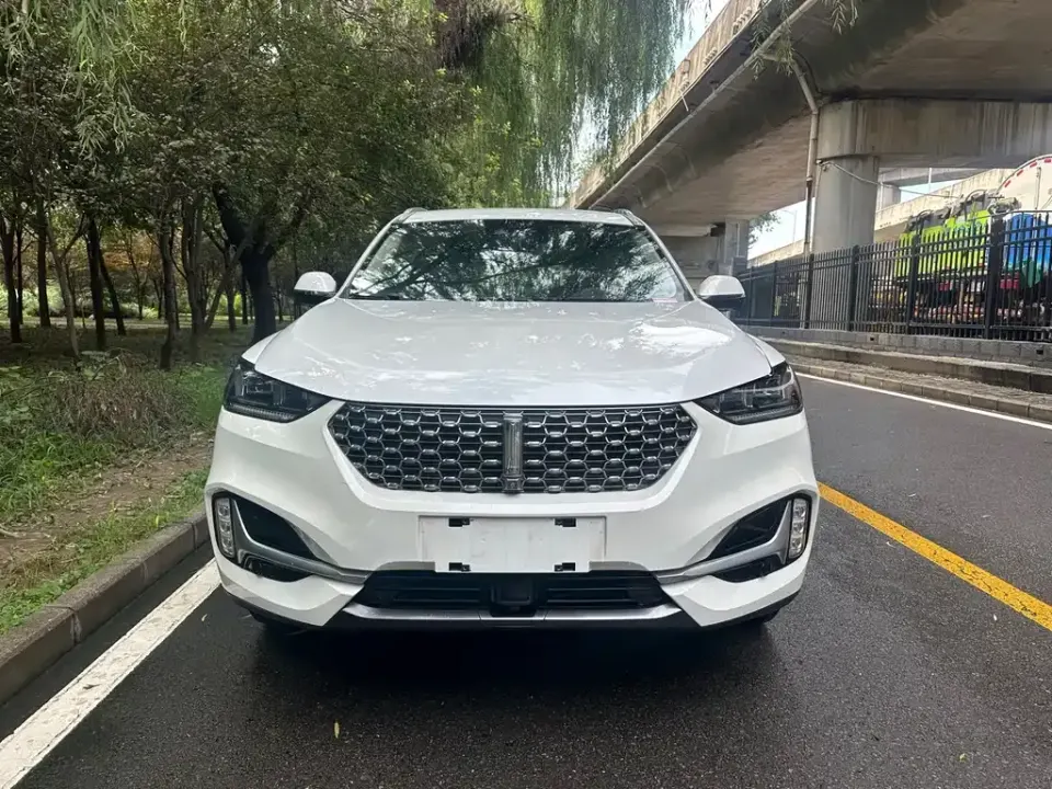 WEY Wey VV6