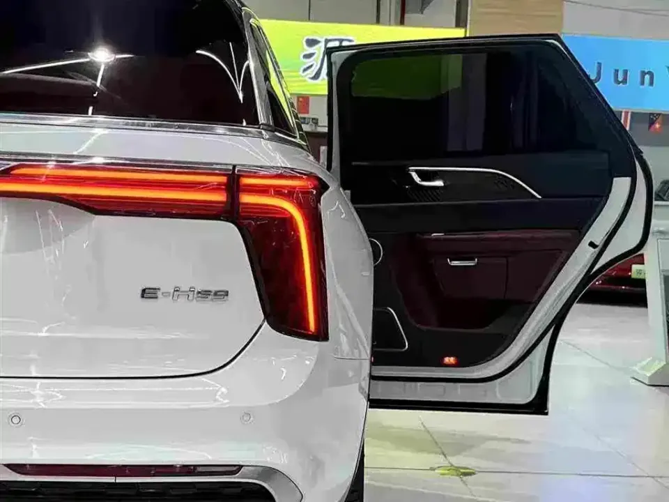 Hongqi Hongqi E-HS9