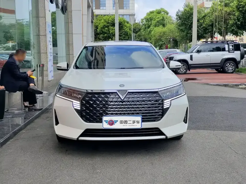 Venucia D60