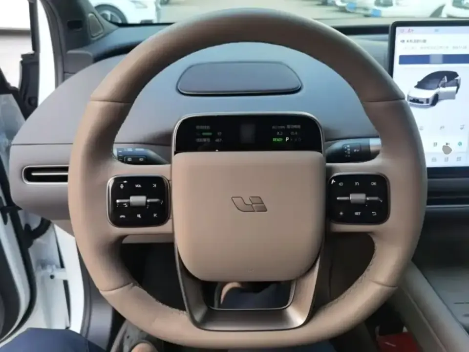 Li Li i6