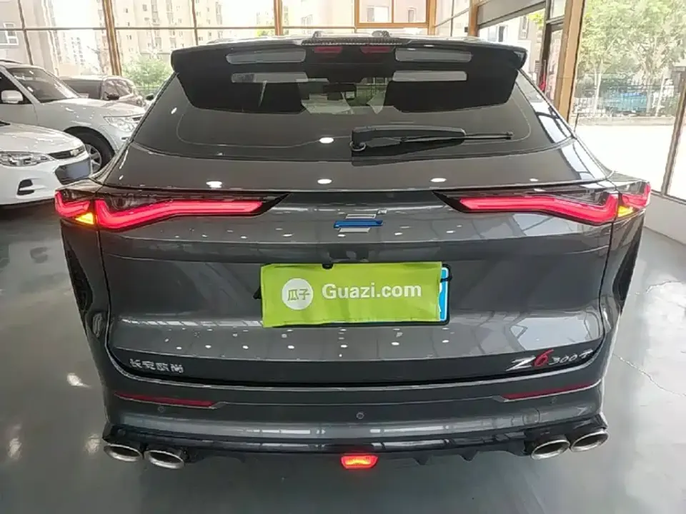 Oshan Oushang Z6