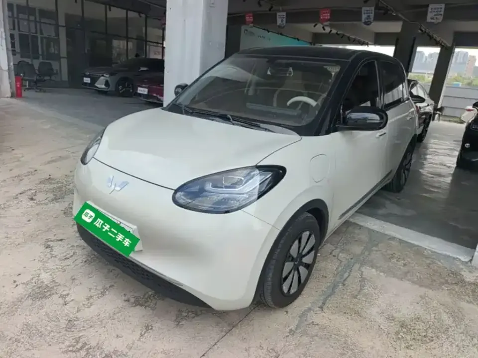 Wuling Bingo