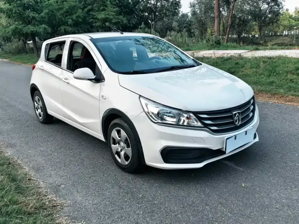 Baojun 310