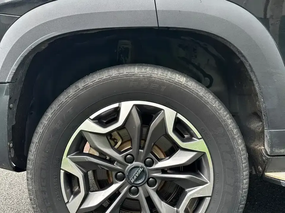 Haval Big Dog