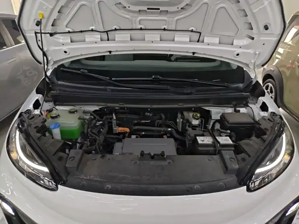 Arcfox S