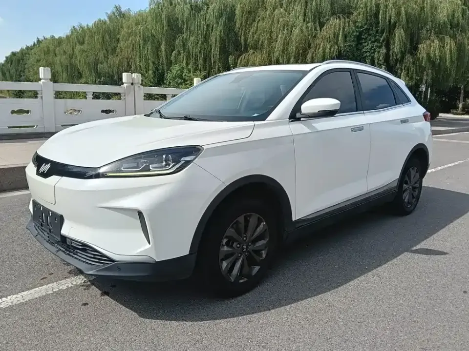 WM Motor EX5